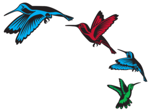 Hummingbirds-flying-isolated