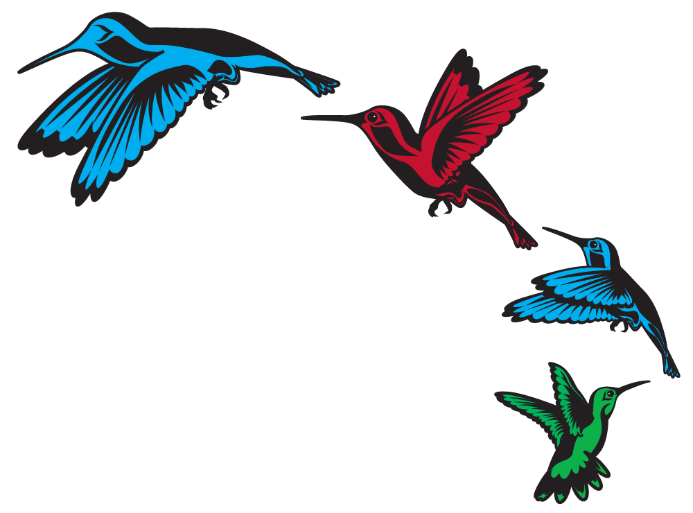 Hummingbirds-flying-isolated